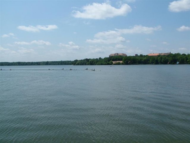 DSCF7246 (Medium)